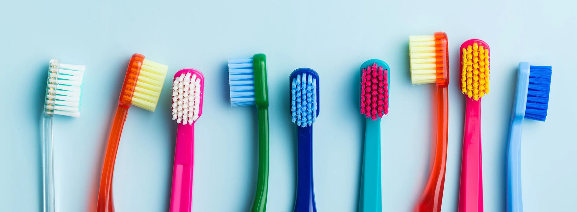 The image shows a collection of colorful toothbrushes arranged in a row with a white background, each one standing upright and featuring different colored bristles and handles.